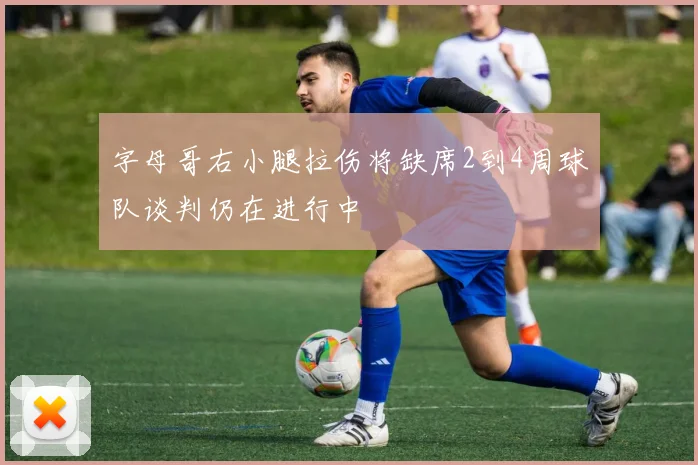 字母哥右小腿拉伤将缺席2到4周球队谈判仍在进行中