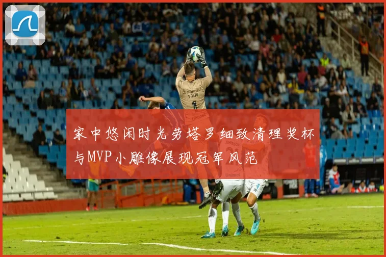 家中悠闲时光劳塔罗细致清理奖杯与MVP小雕像展现冠军风范