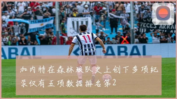 加内特在森林狼队史上创下多项纪录仅有五项数据排名第2